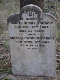 image of grave number 452336